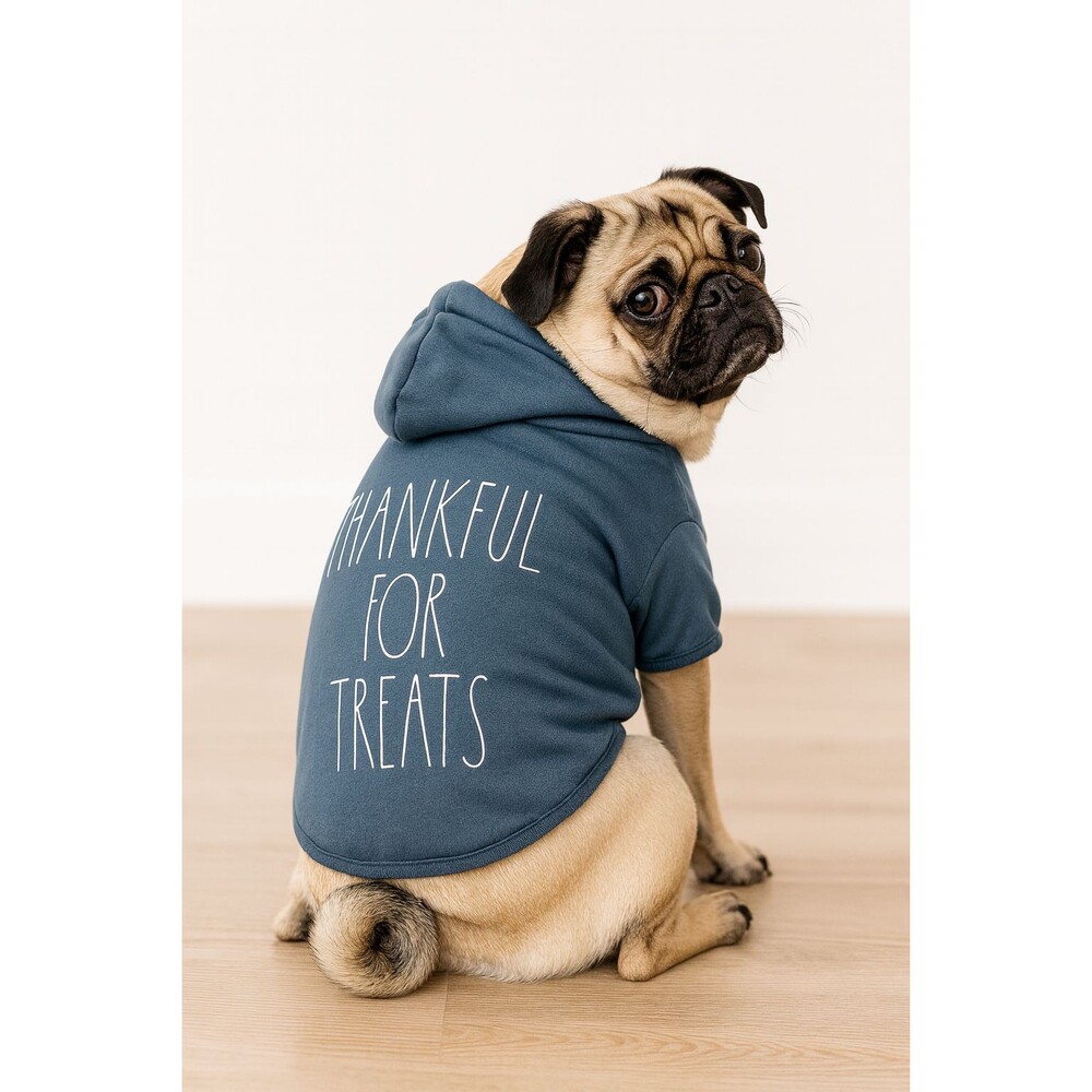 Rae Dunn 'THANKFUL FOR TREATS' Dog Hoodie Blue Sz Small Autumn Party